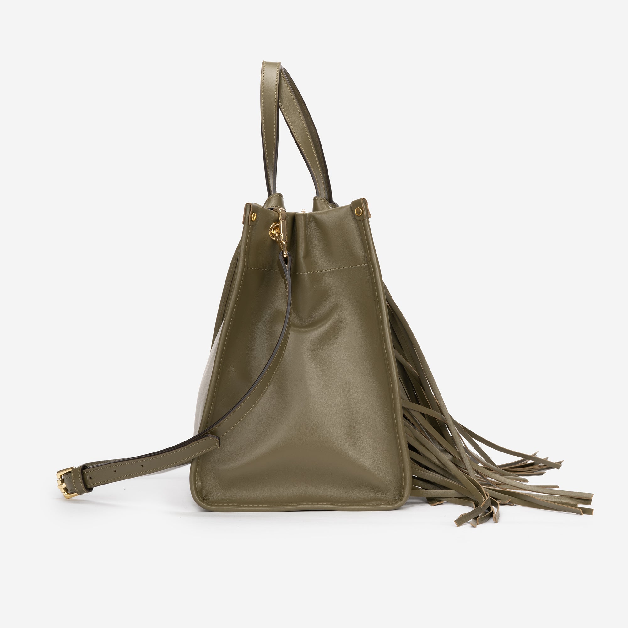 OLIVE PARTENOPE