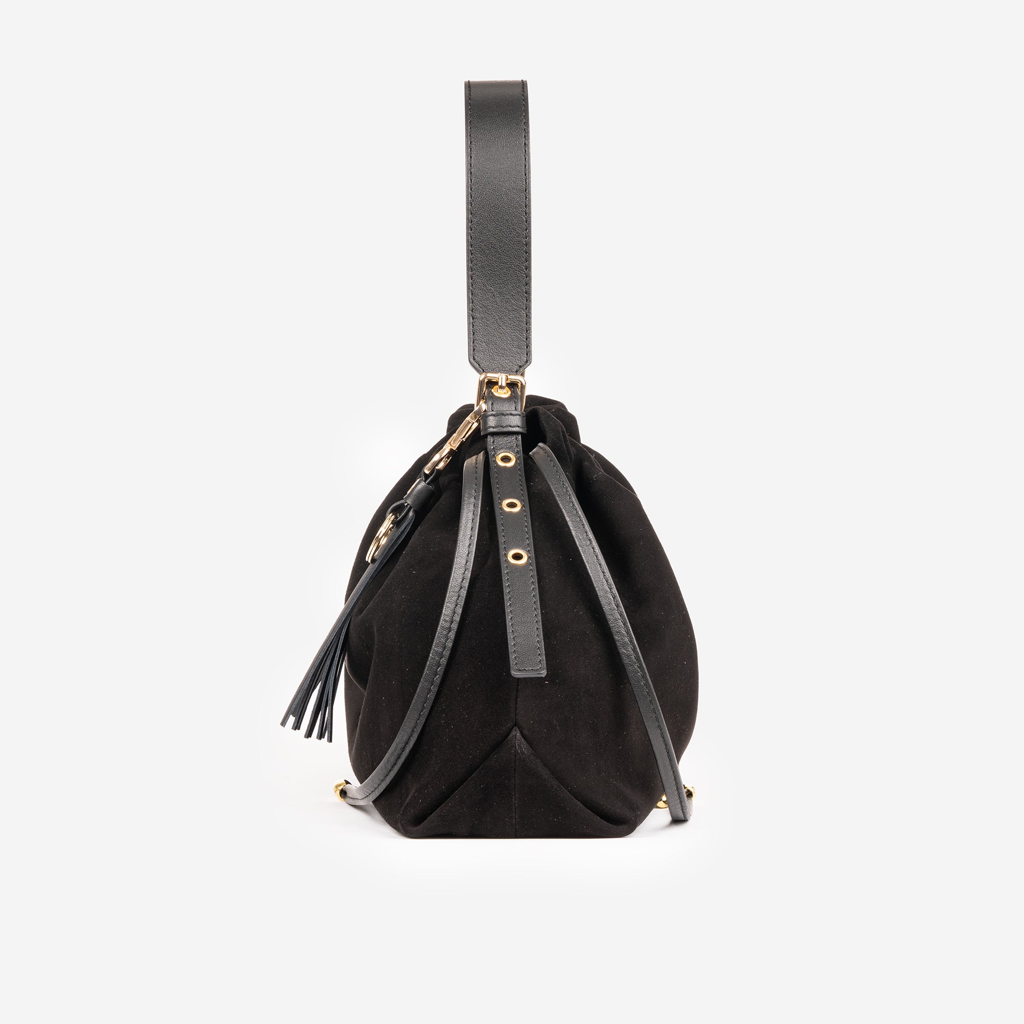 DELIA SCAMOSCIATA NERA