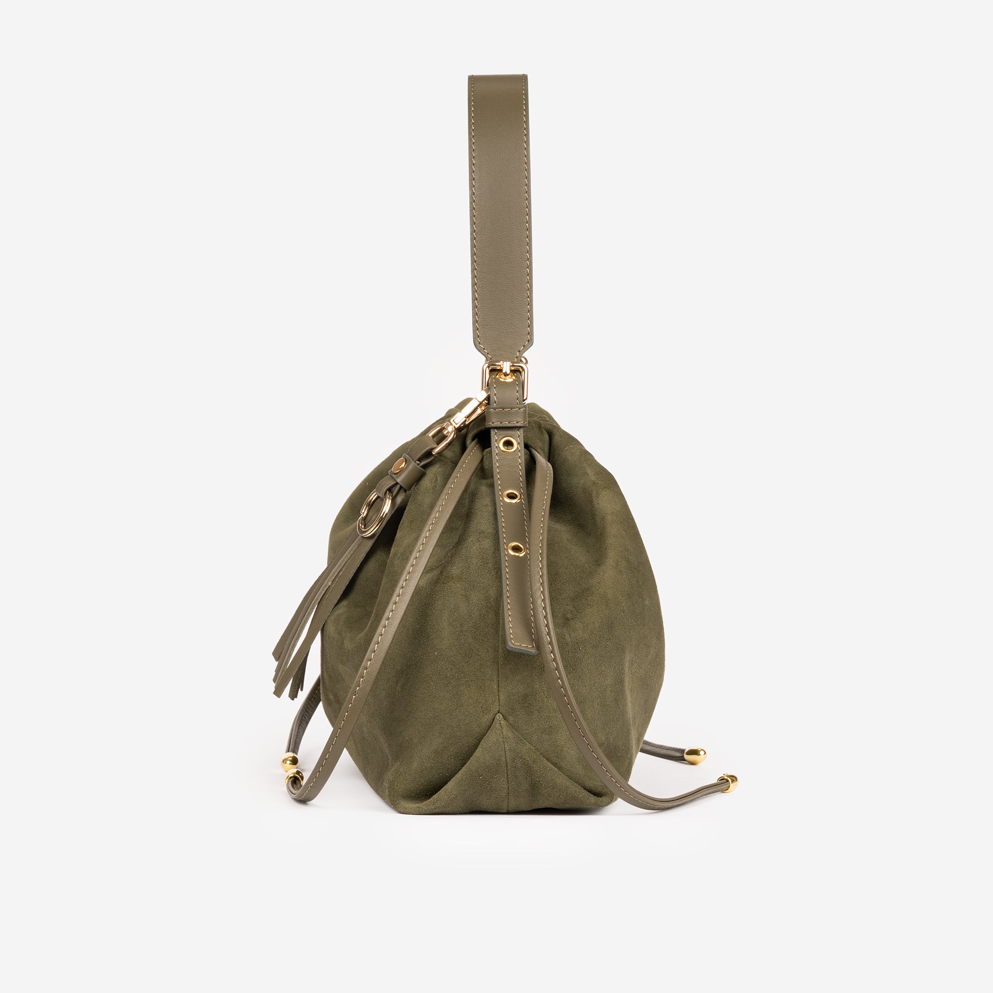 DELIA SCAMOSCIATA OLIVA